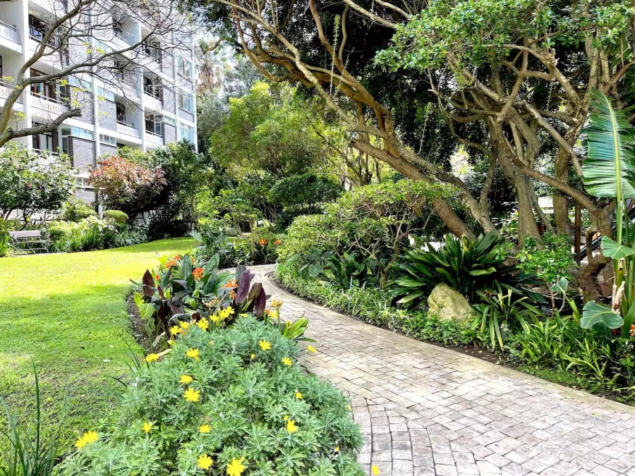 To Let 0 Bedroom Property for Rent in Gardens Western Cape